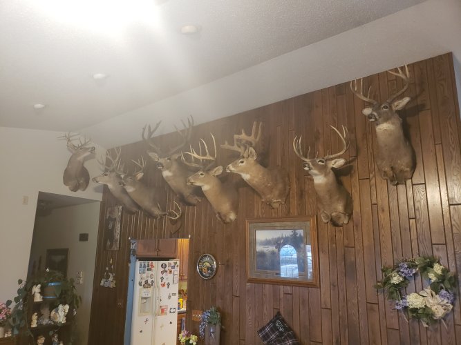 20190418_183517.jpg