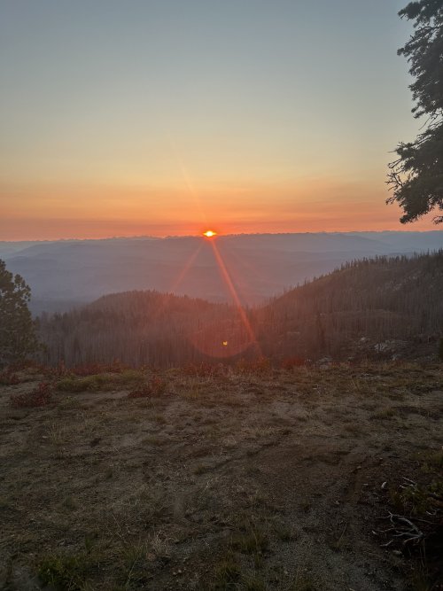 IMG_3677.jpeg IMG_3677.jpeg