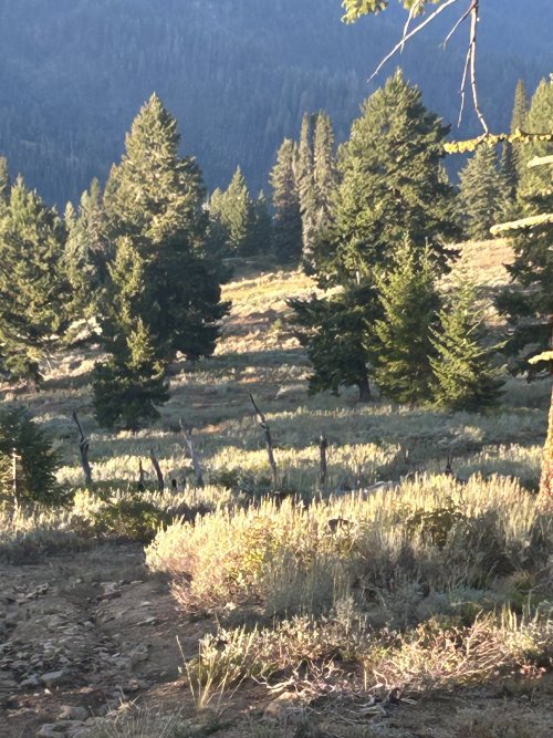 IMG_3685.jpeg IMG_3685.jpeg