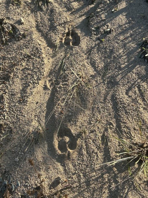 IMG_3688.jpeg IMG_3688.jpeg