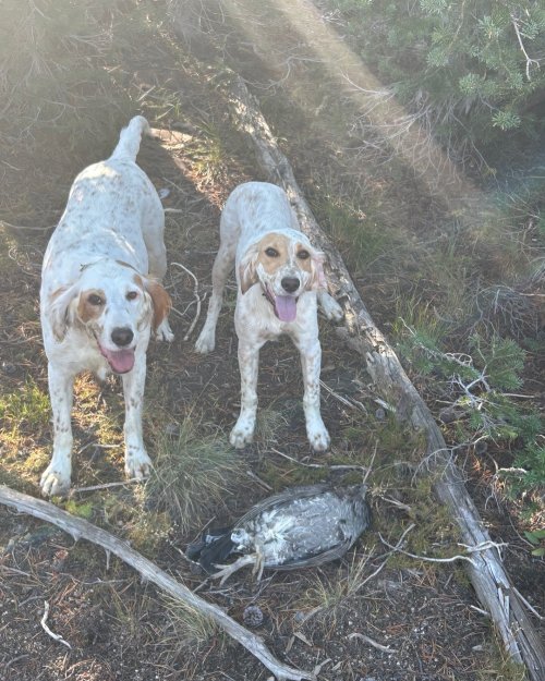 3FDD2C40-257D-41AD-B978-191D2DE9E81E.jpeg 3FDD2C40-257D-41AD-B978-191D2DE9E81E.jpeg