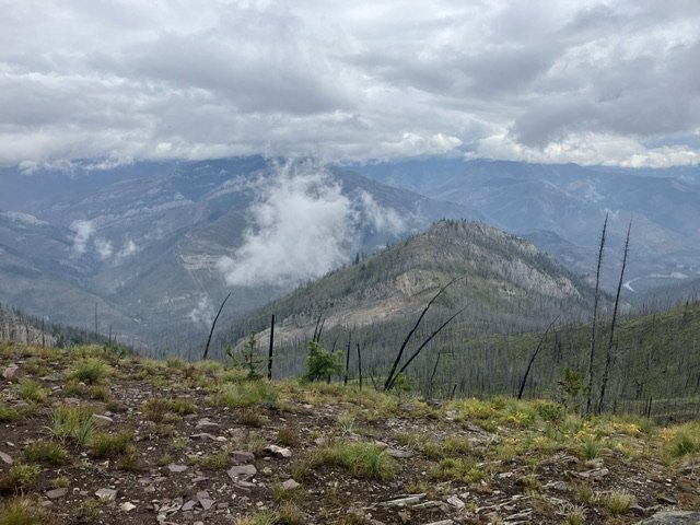 IMG_6030.jpeg