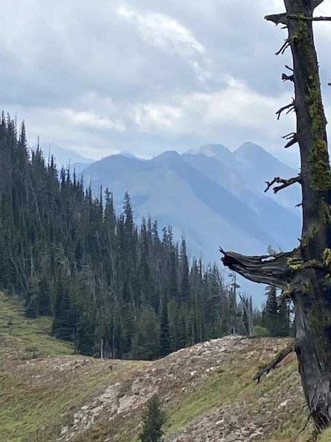 IMG_6004.jpeg