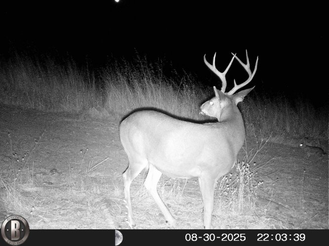 HUNT0066.JPG