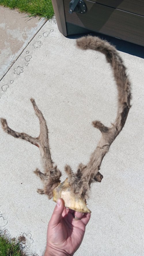 20250831_121801.jpg 20250831_121801.jpg