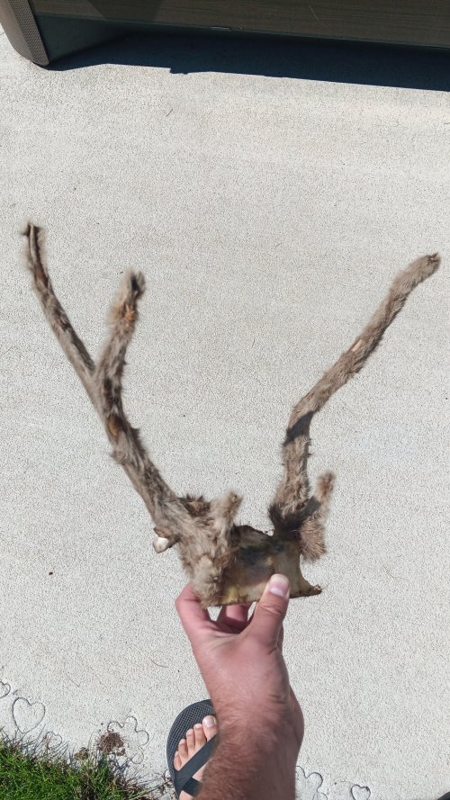 20250831_121756.jpg 20250831_121756.jpg