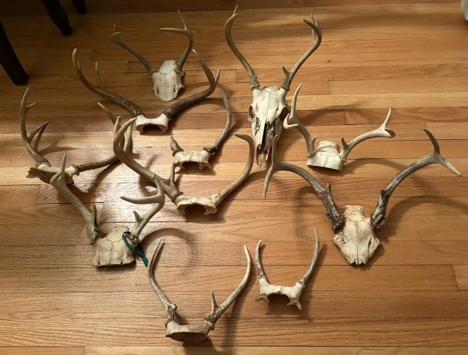 IMG_0478.jpeg IMG_0478.jpeg