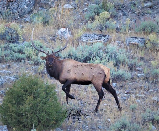 PA050158 (3).JPG PA050158 (3).JPG