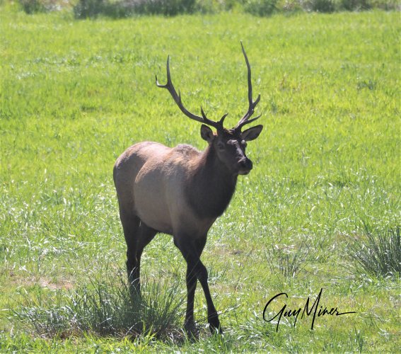 P8230284 (2).JPG P8230284 (2).JPG