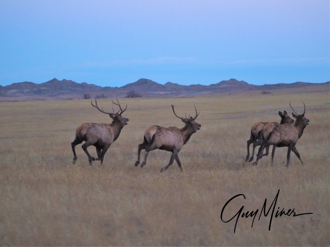 PA140630 (2).JPG PA140630 (2).JPG