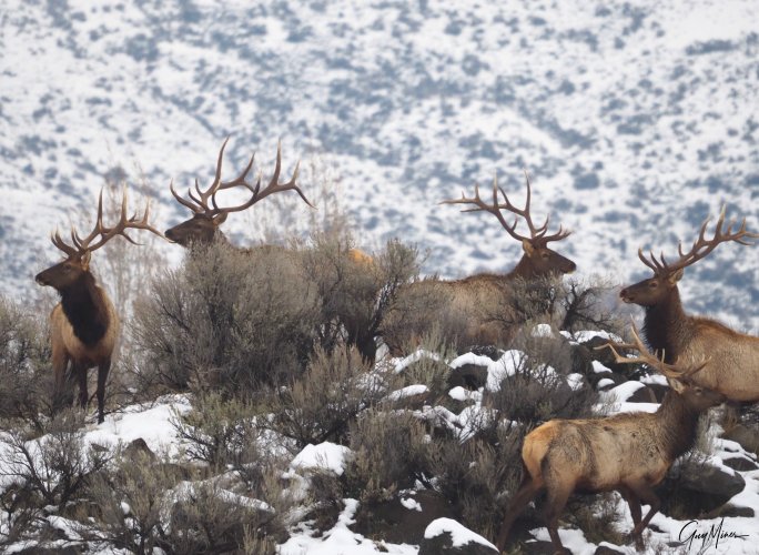 PC272391-1.JPG PC272391-1.JPG