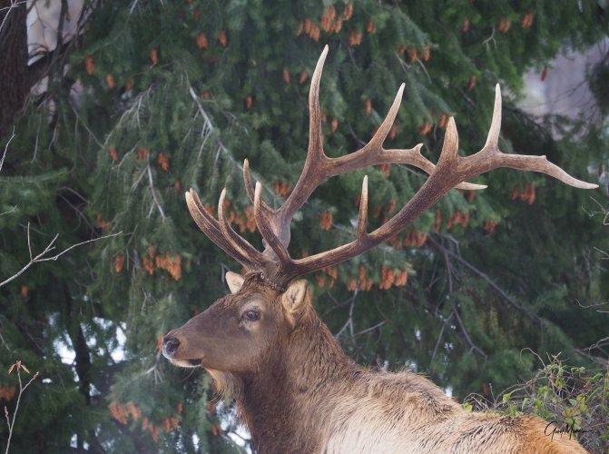 PC282447a-1.JPG PC282447a-1.JPG