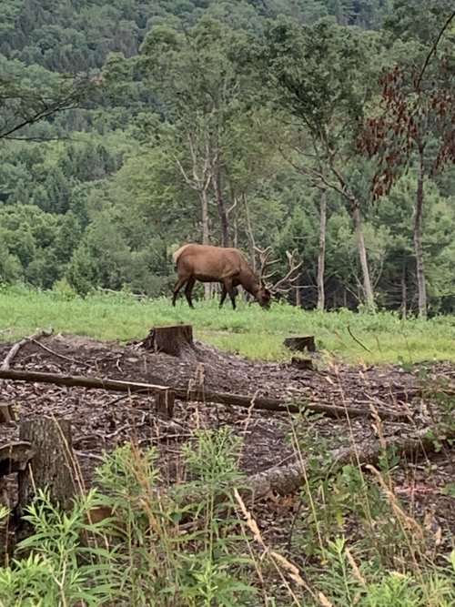 IMG_5746.jpeg IMG_5746.jpeg