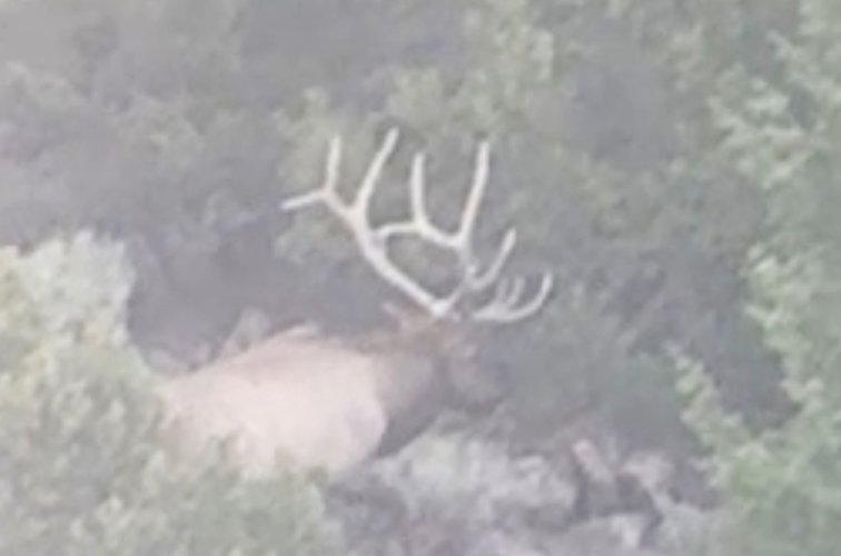 IMG_4962.jpeg