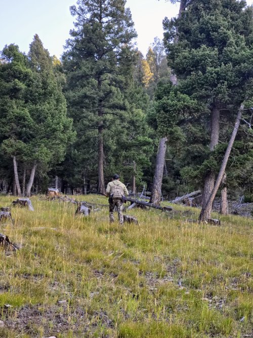 20250901_082755~2.jpg 20250901_082755~2.jpg