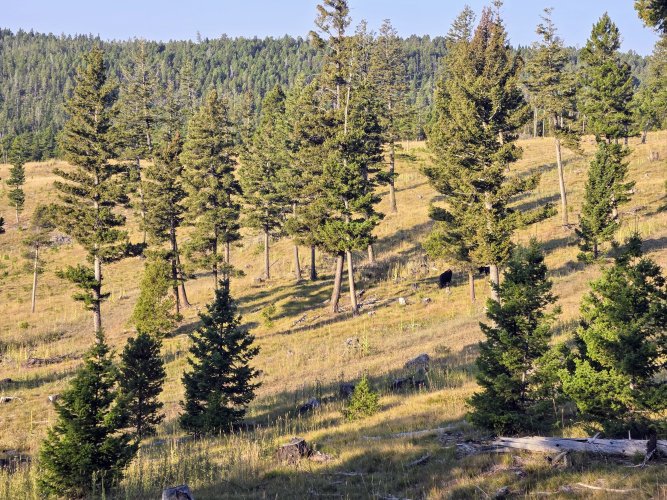 20250901_083001~2.jpg 20250901_083001~2.jpg