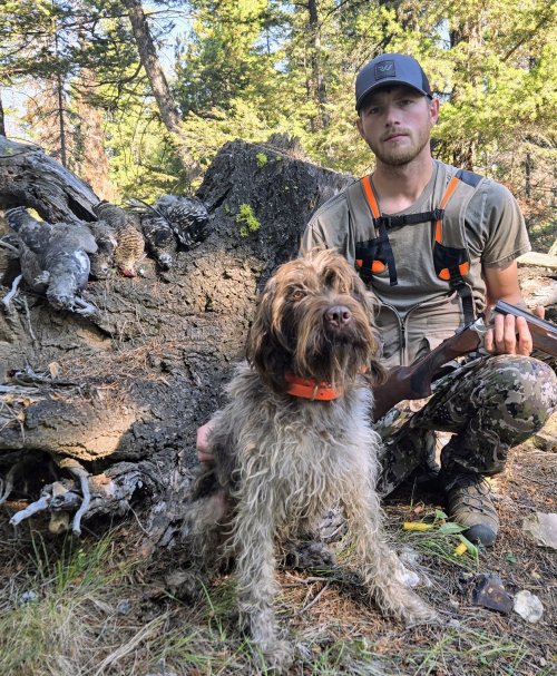 20250901_102052~4.jpg 20250901_102052~4.jpg