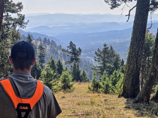 20250901_105216~2.jpg 20250901_105216~2.jpg