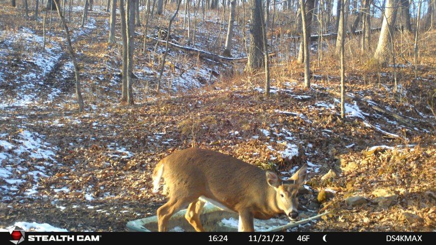 STC_2082.JPG STC_2082.JPG