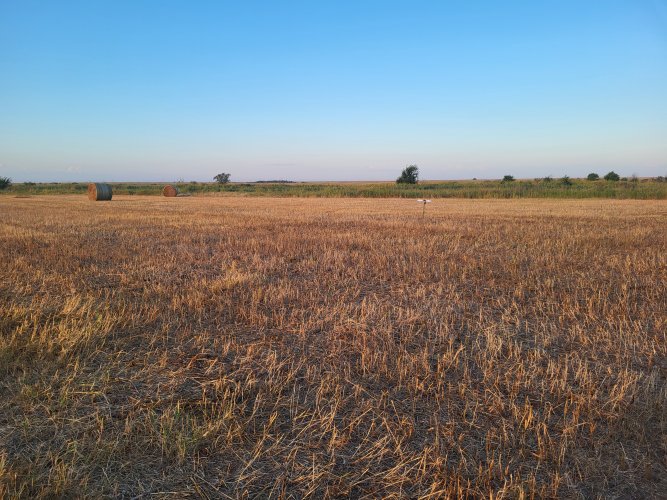 20250902_074117.jpg