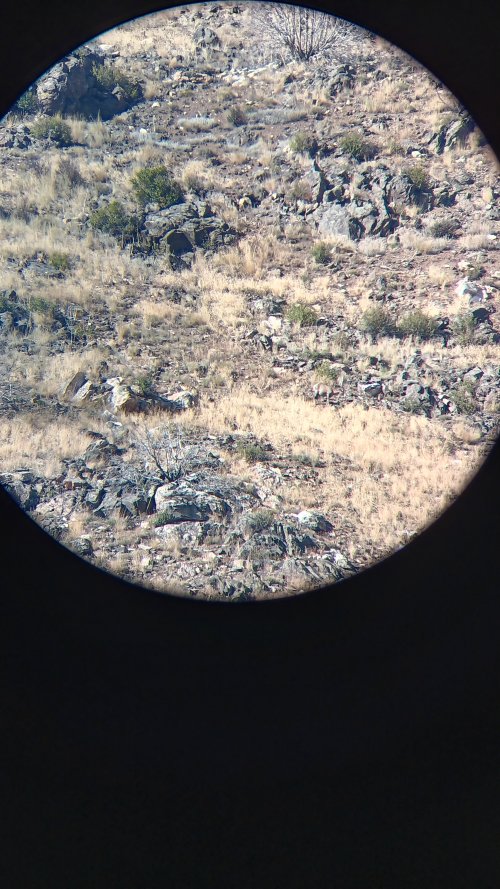 20250901_163925.jpg 20250901_163925.jpg