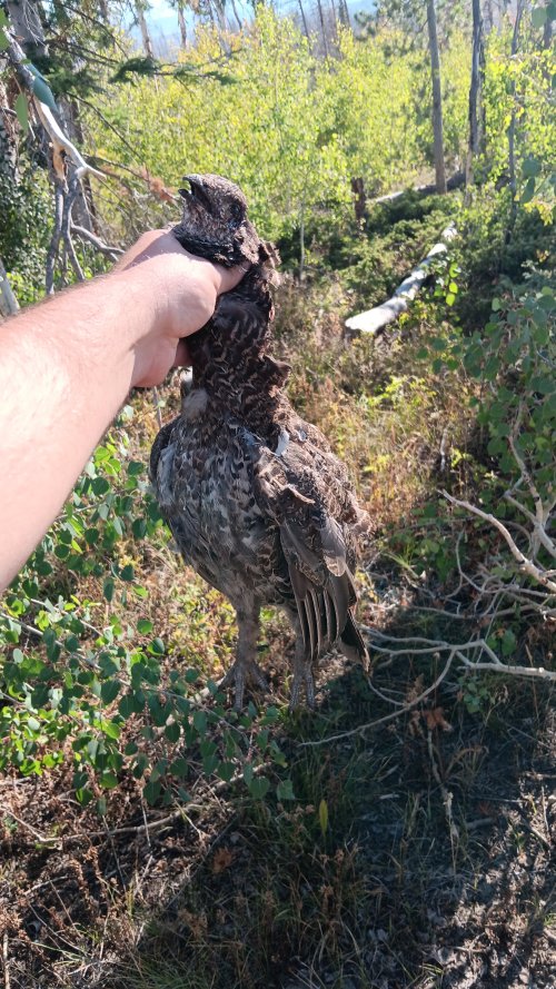 20250901_170556.jpg 20250901_170556.jpg