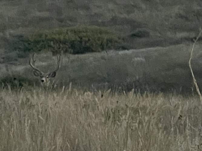 IMG_3039.jpeg