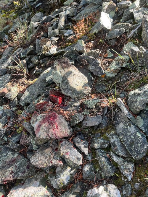 IMG_2457.jpeg IMG_2457.jpeg