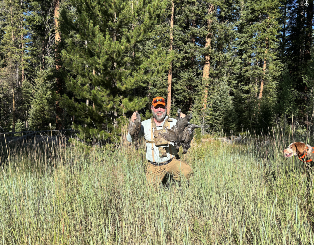 Screenshot 2025-09-03 at 10.50.41.png