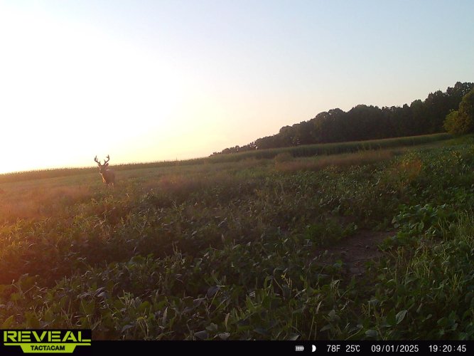 864049051381285-100-1-09012025192044-HD-W1003685 (1).JPG