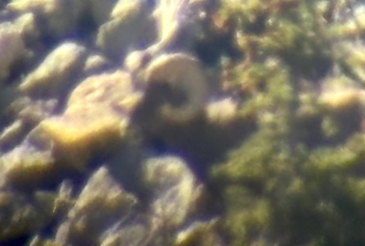 IMG_1080.jpeg