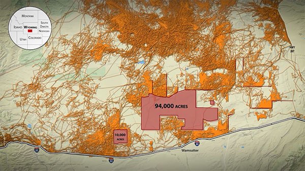 1000017442.jpg 1000017442.jpg