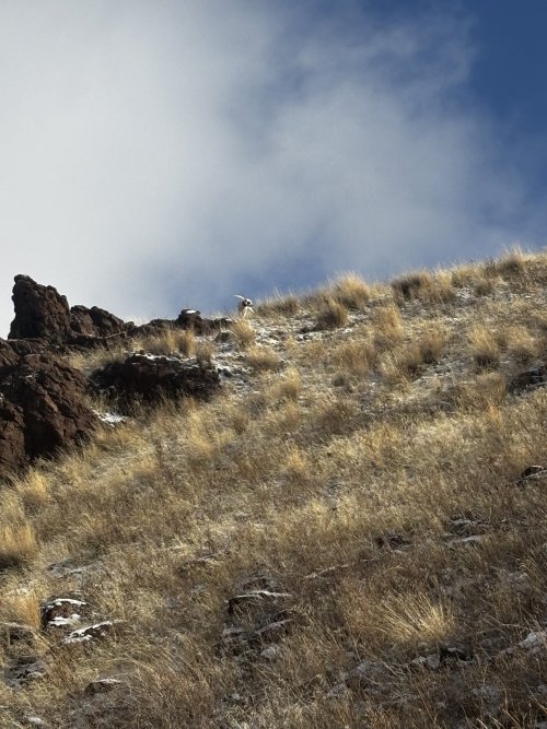 IMG_4181.jpeg IMG_4181.jpeg