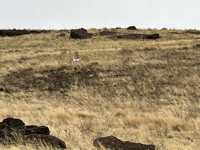 IMG_1757.jpeg IMG_1757.jpeg