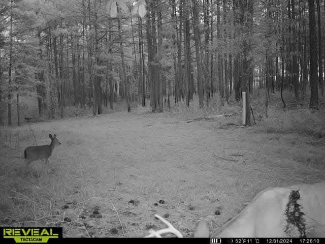 FB_IMG_1735740501506.jpg FB_IMG_1735740501506.jpg