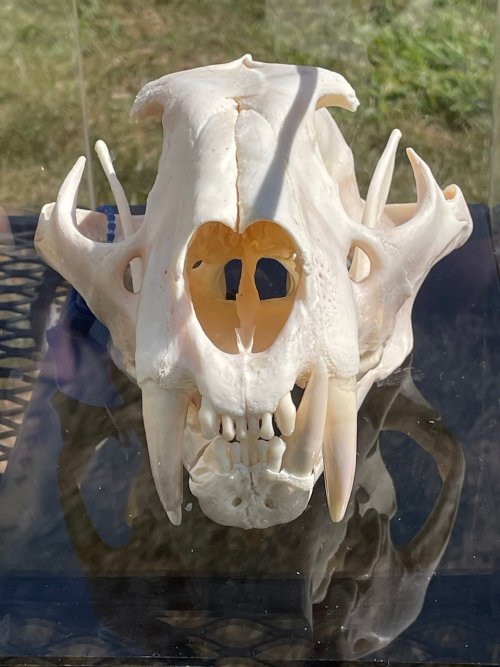 IMG_4381.jpeg IMG_4381.jpeg