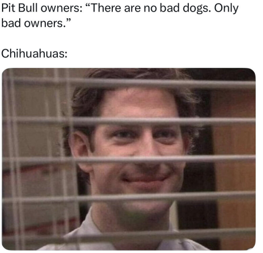 1757084545813.png
