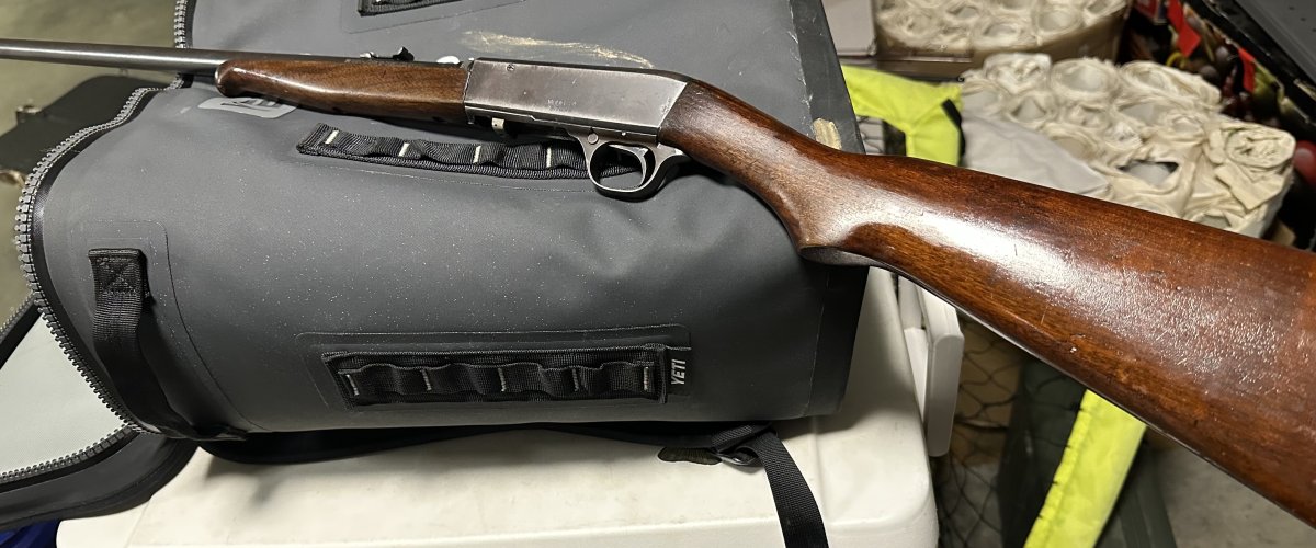 IMG_9716.jpeg IMG_9716.jpeg