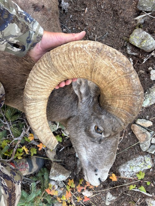 IMG_1121.jpeg IMG_1121.jpeg