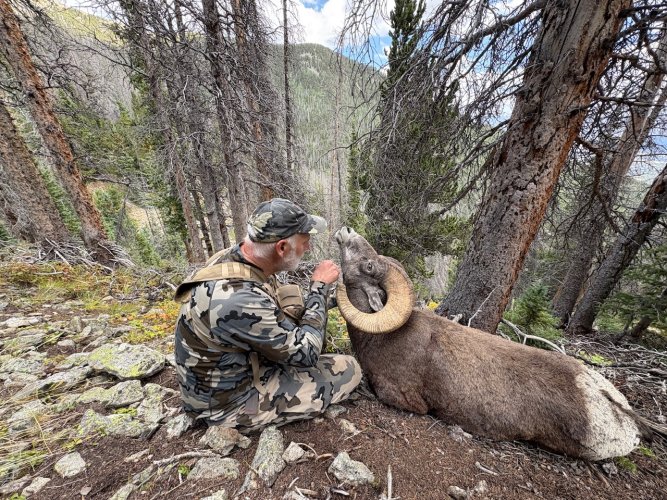 IMG_1099.jpeg IMG_1099.jpeg