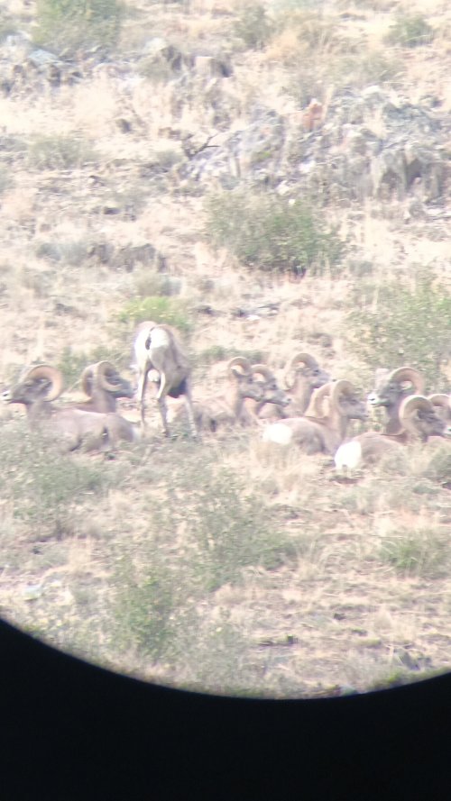 20250906_170720.jpg 20250906_170720.jpg