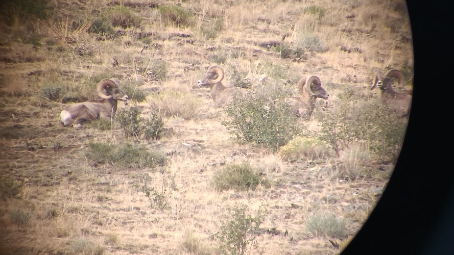 20250906_170613.jpg 20250906_170613.jpg