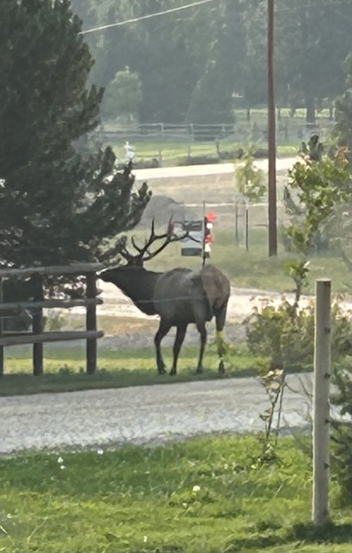 IMG_3746.jpeg IMG_3746.jpeg