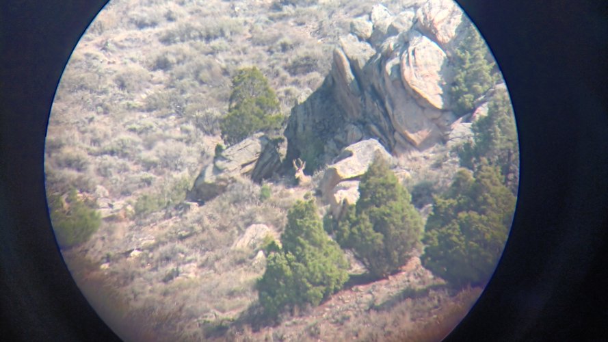 20250906_110708.jpg 20250906_110708.jpg