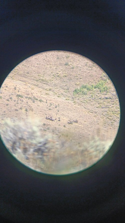 20250906_155003.jpg 20250906_155003.jpg