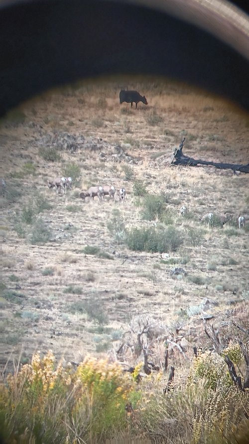 20250906_165027.jpg 20250906_165027.jpg