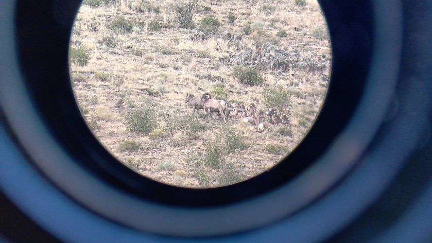 20250906_170458.jpg 20250906_170458.jpg