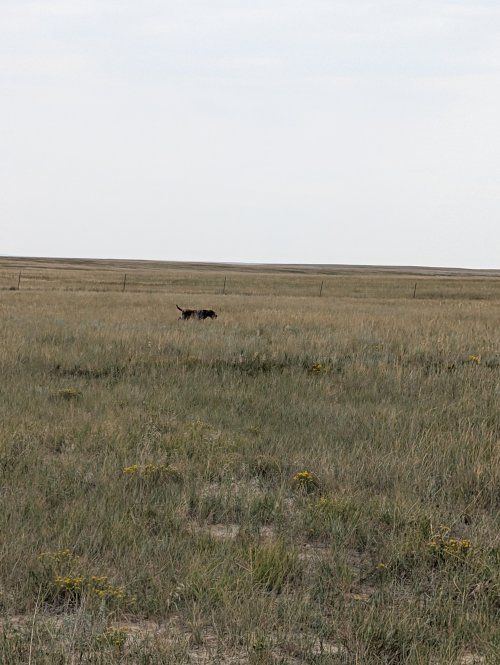 PXL_20250905_163427919.jpg
