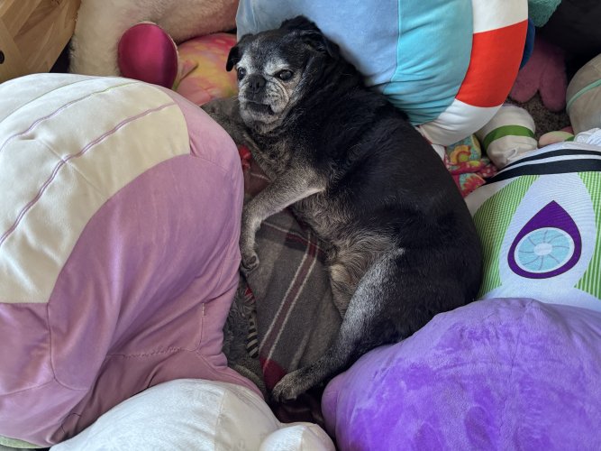 1757289721704.jpeg 1757289721704.jpeg