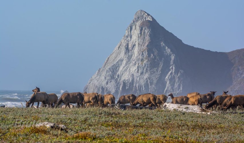 July 2016 1a-8018.jpg